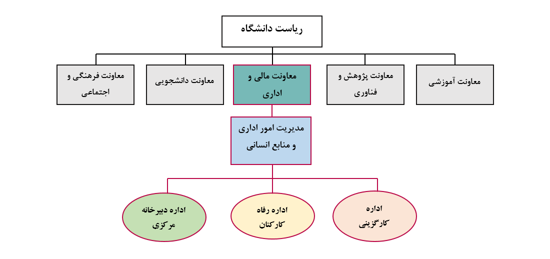 چارت اداري